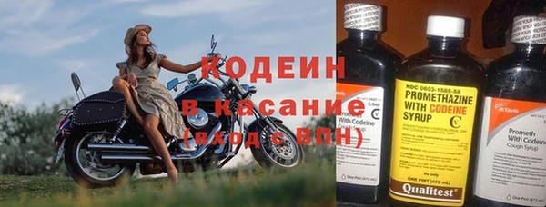 эйфоретик Богданович