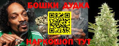 СК Пугачёв