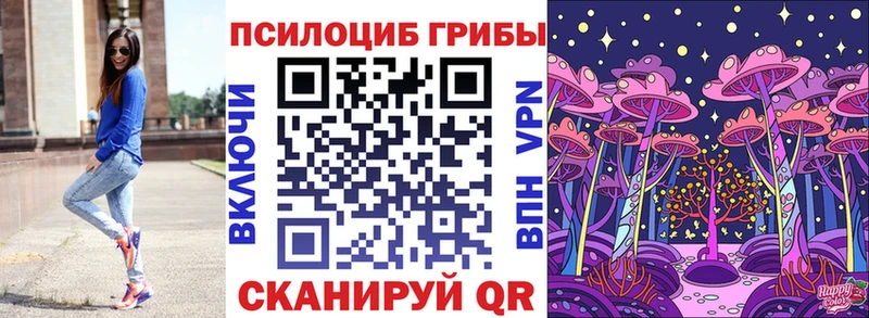 Псилоцибиновые грибы Cubensis  где продают   Сланцы 
