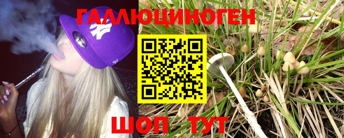 Псилоцибиновые грибы GOLDEN TEACHER Сланцы
