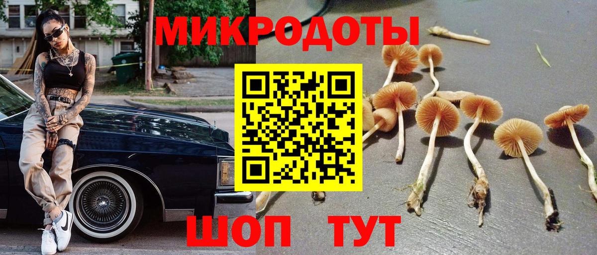Псилоцибиновые грибы Psilocybine cubensis  Вход с VPN  Галлюциногенные грибы мухоморы  Сланцы 