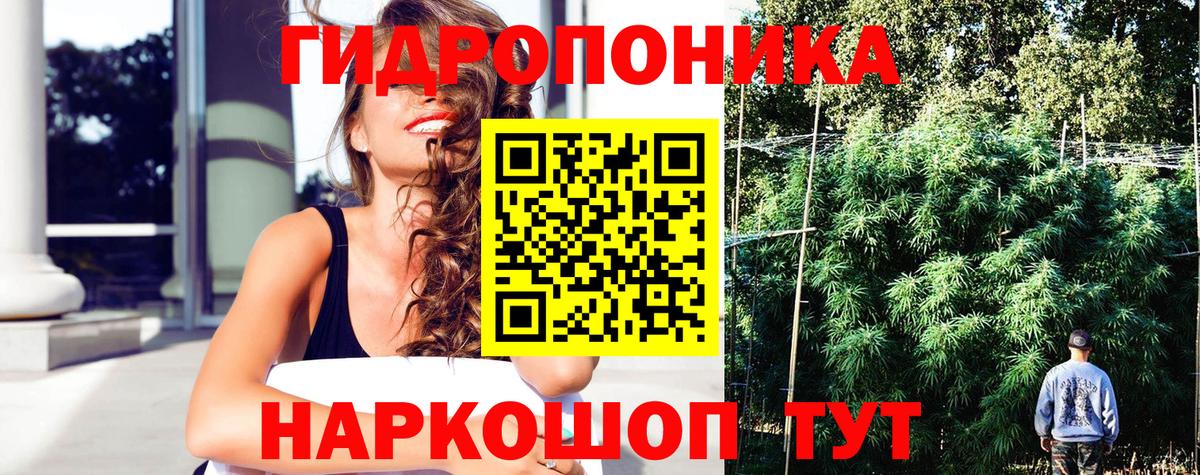 Конопля конопля Сланцы